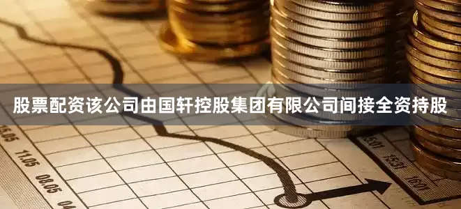 股票配资该公司由国轩控股集团有限公司间接全资持股