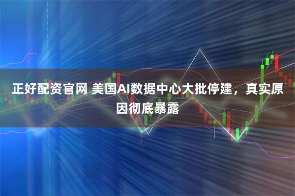 正好配资官网 美国AI数据中心大批停建,真实原因彻底暴露