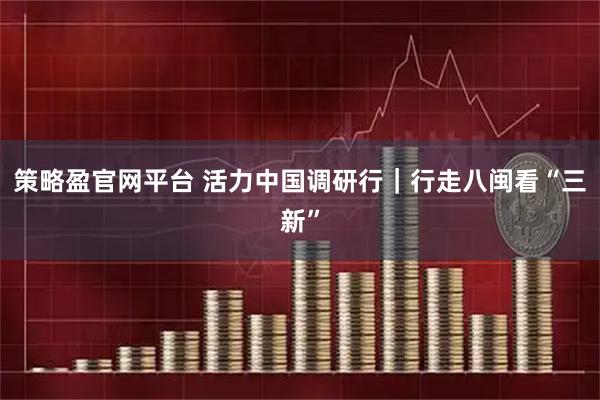 策略盈官网平台 活力中国调研行｜行走八闽看“三新”